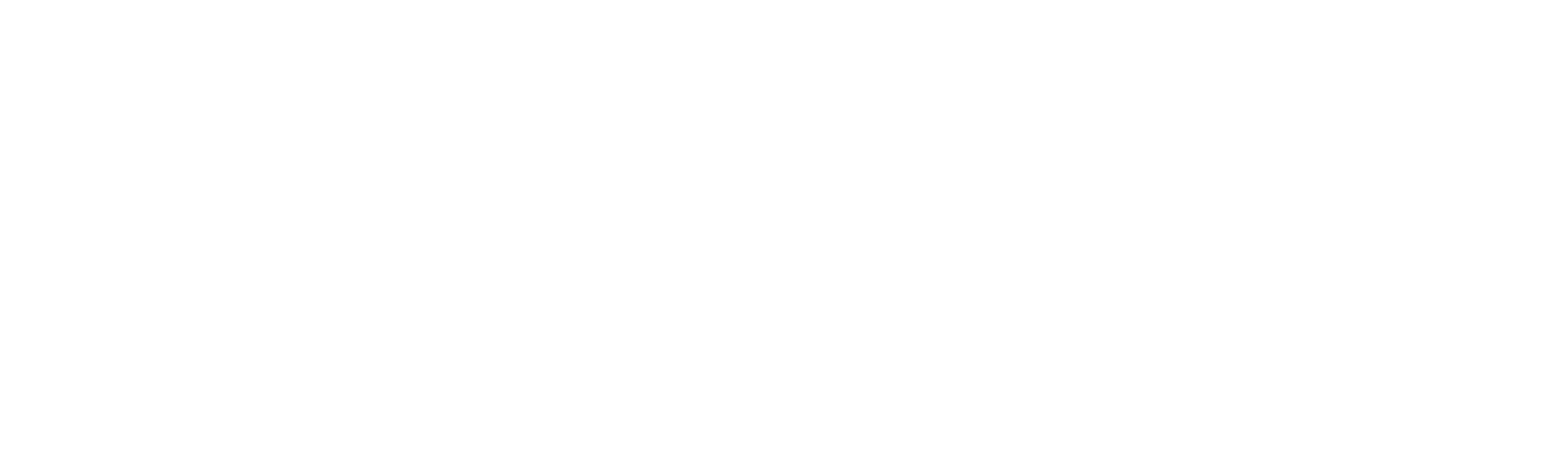 Qnetic