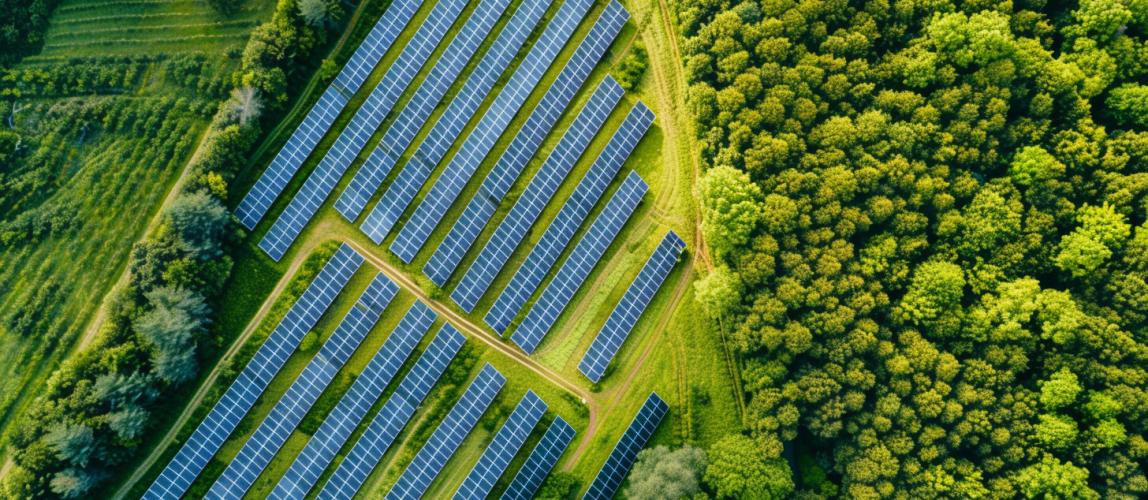 Green Fox Energy - klimaneutrale und nachhaltige Energieversorgung - Titelbild