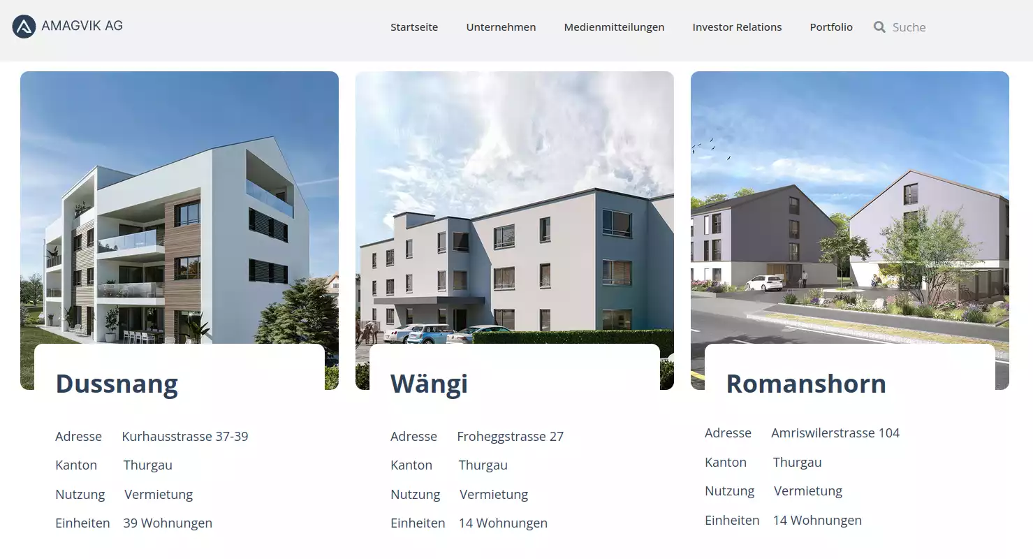 Auszug von dem Portfolio der Amagvik AG Webseite - amagvik.ch